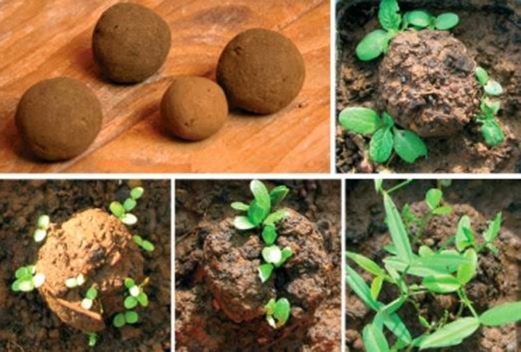 Цветни бомби ще се изсипят в Димитровград