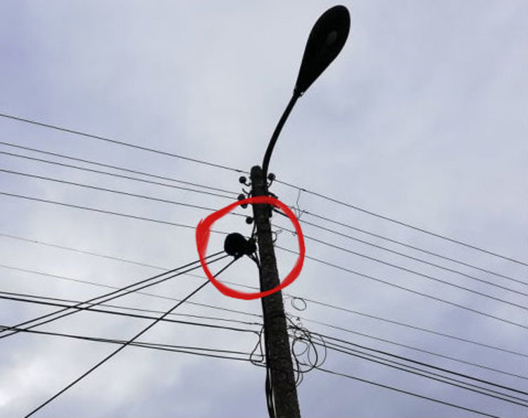 Три дни черно коте се крепи на кабелите на „ЕСКОМ“