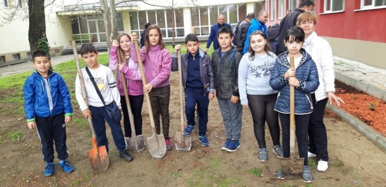 Децата от Клуба по природознание  в СУ”Проф.д-р Асен Златаров” засадиха рози