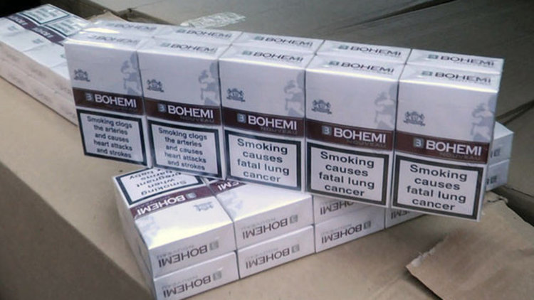 снимката е илюстративна