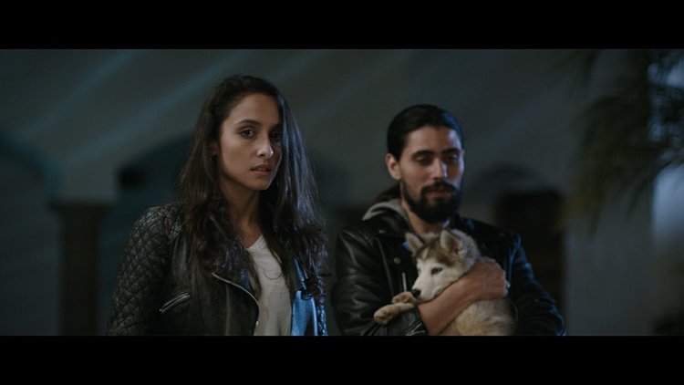 "Мълчанието на пеперудите" в Стария съвет