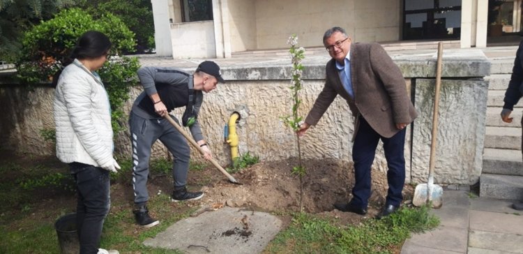 Японски вишна и клен, бяла бреза и червен дъб вече са част от екстериора в центъра