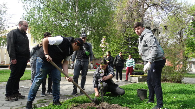 Японски вишна и клен, бяла бреза и червен дъб вече са част от екстериора в центъра