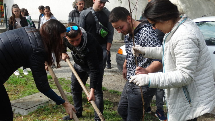Японски вишна и клен, бяла бреза и червен дъб вече са част от екстериора в центъра