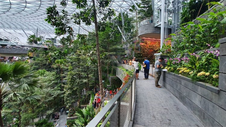 Стъклен мол с водопад и красиви градини отвори врати в летище Чанги