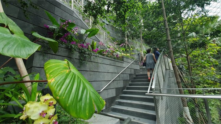 Стъклен мол с водопад и красиви градини отвори врати в летище Чанги