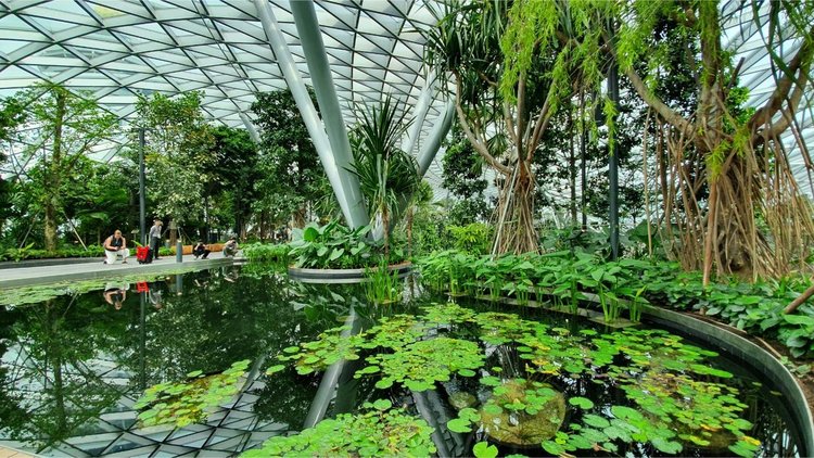 Стъклен мол с водопад и красиви градини отвори врати в летище Чанги