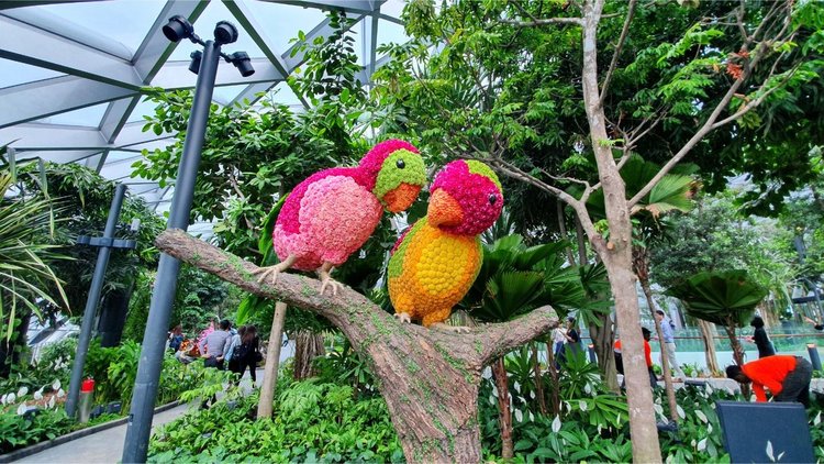 Стъклен мол с водопад и красиви градини отвори врати в летище Чанги