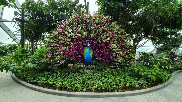 Стъклен мол с водопад и красиви градини отвори врати в летище Чанги