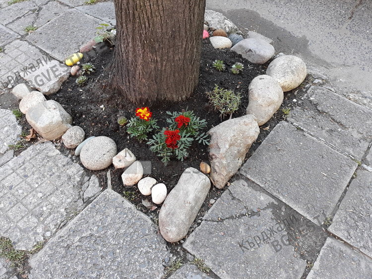 Кътче красота в Кърджали, напук на засипването на зелени площи с чакъл