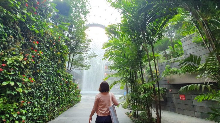 Стъклен мол с водопад и красиви градини отвори врати в летище Чанги