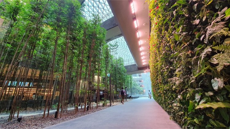 Стъклен мол с водопад и красиви градини отвори врати в летище Чанги