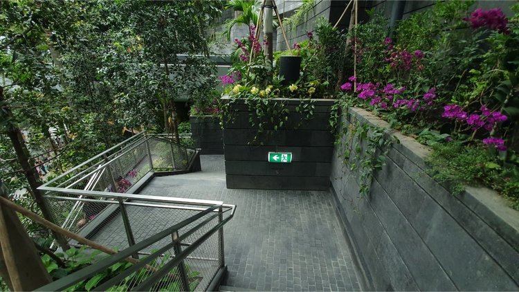 Стъклен мол с водопад и красиви градини отвори врати в летище Чанги