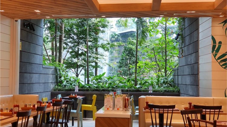 Стъклен мол с водопад и красиви градини отвори врати в летище Чанги