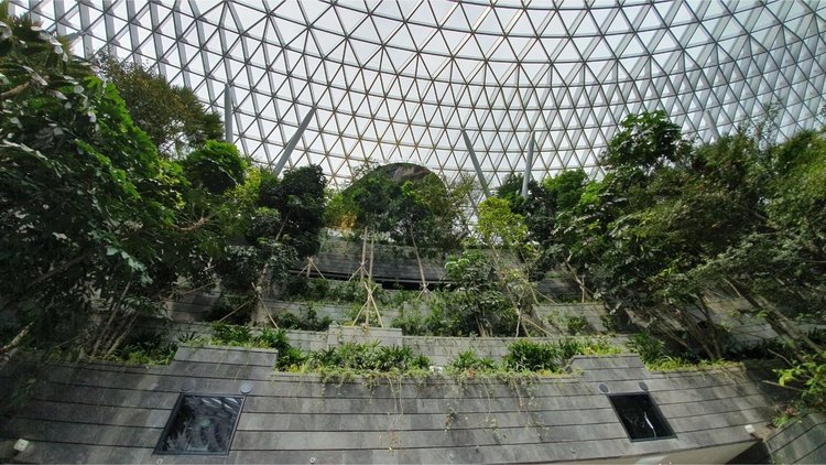 Стъклен мол с водопад и красиви градини отвори врати в летище Чанги