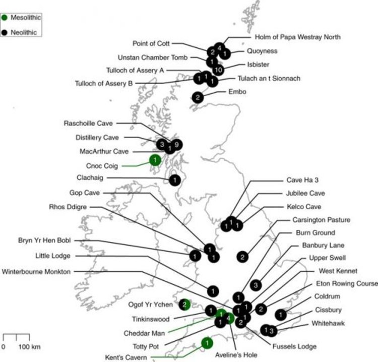 Карта на местата, на които са открити изследваните останки; Mark G. Thomas et al. Nature Ecology & Evolution (2019) 