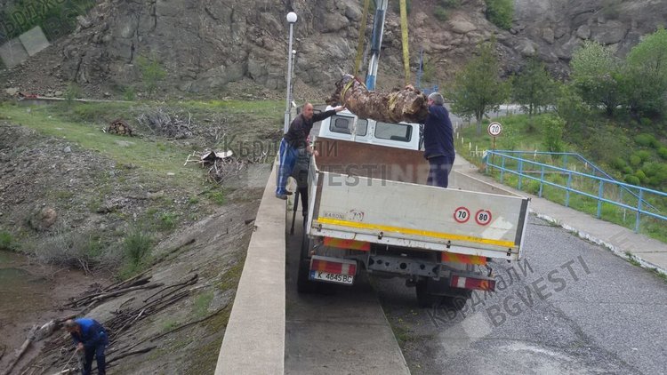 Опасна акция по почистване на яз.”Боровица” в рамките на кампанията „Кърджали-чист и красив”(снимки)