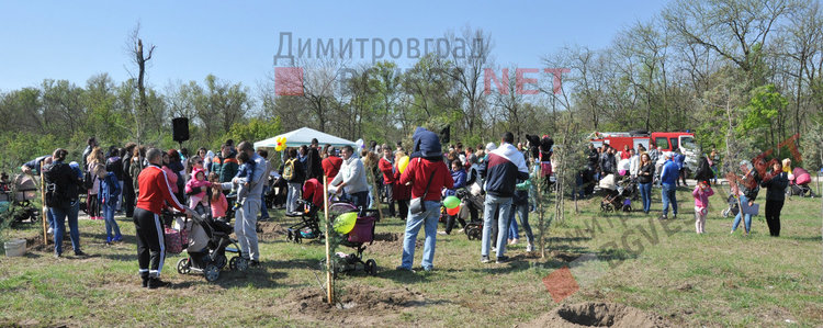 Засадиха 35 нови дръвчета в Алеята на новия живот и раздадоха още 64