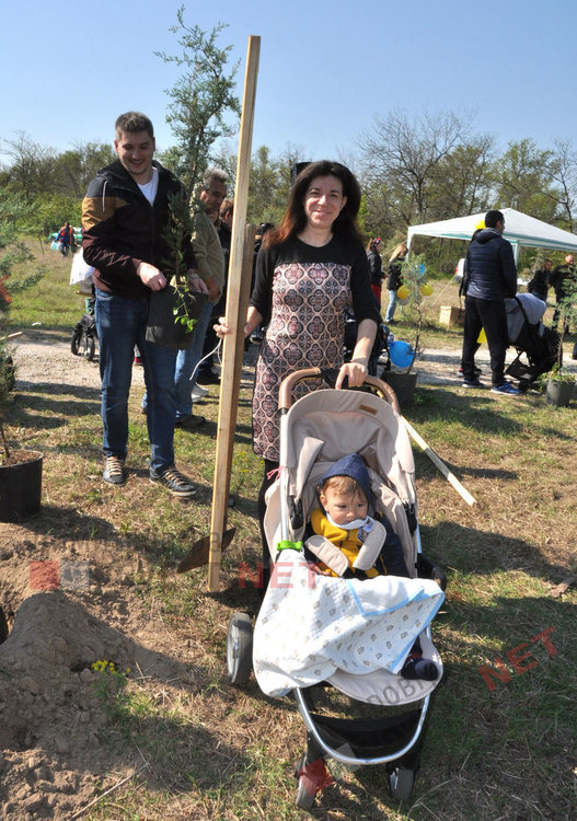 Засадиха 35 нови дръвчета в Алеята на новия живот и раздадоха още 64