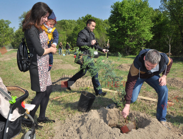 Засадиха 35 нови дръвчета в Алеята на новия живот и раздадоха още 64