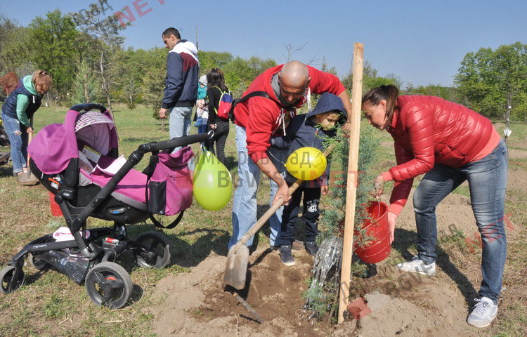 Засадиха 35 нови дръвчета в Алеята на новия живот и раздадоха още 64