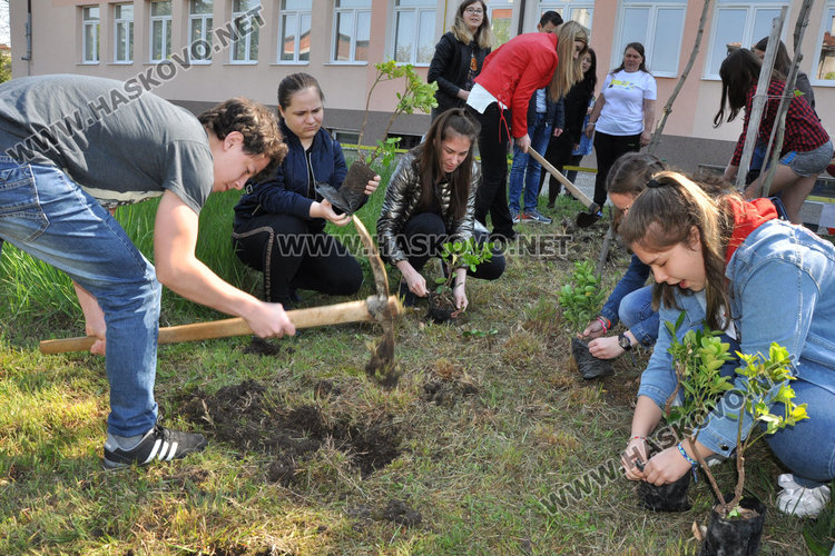 Приключенски патронен празник в Математическата гимназия