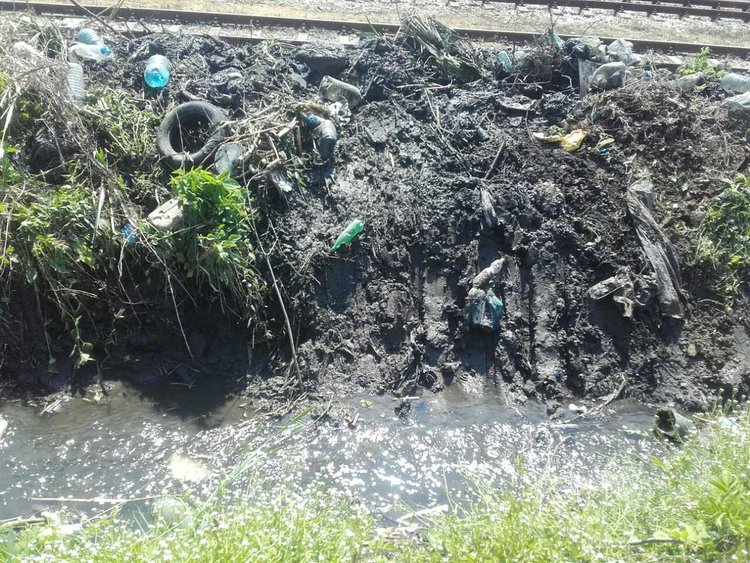 Хасковлия: канал сее зарази, комарите атакуват като армия