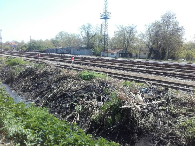 Хасковлия: канал сее зарази, комарите атакуват като армия