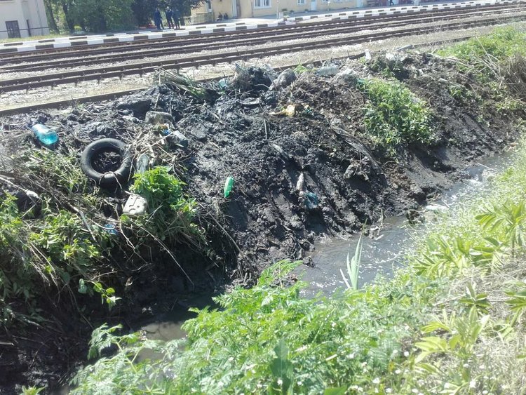 Хасковлия: канал сее зарази, комарите атакуват като армия