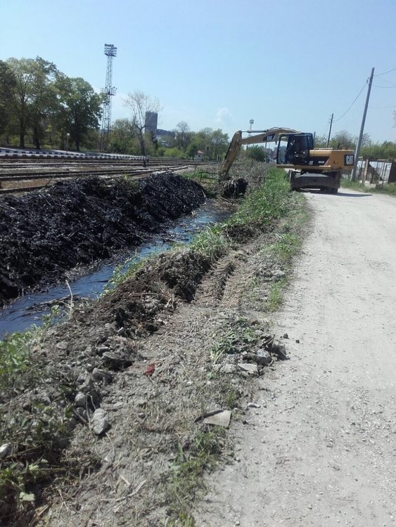 Хасковлия: канал сее зарази, комарите атакуват като армия