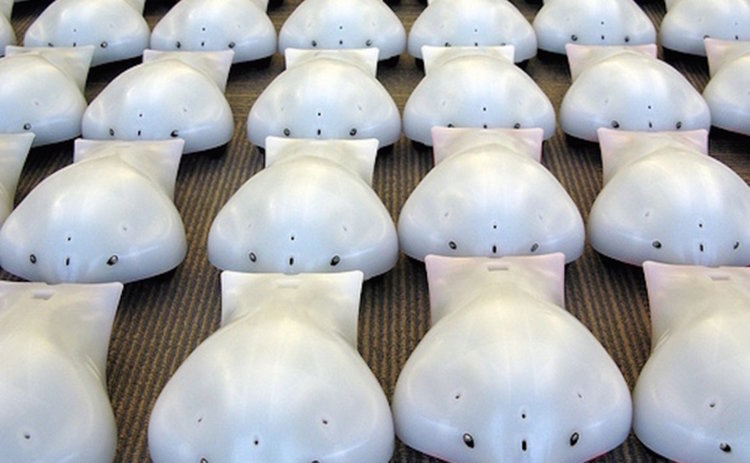 Димитровградскта библиотека се сдоби с нови 5 робота