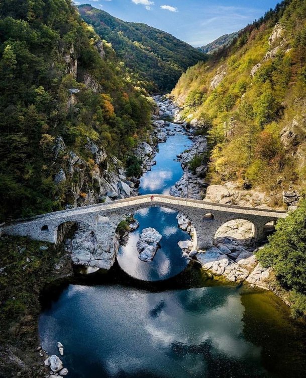 Наградената фотография