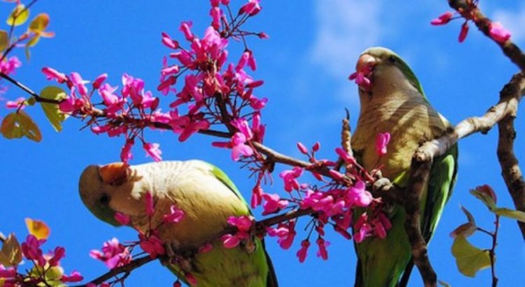 Затопляне в сряда