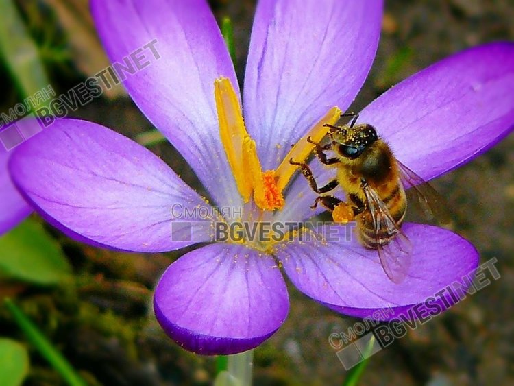 Топло и безоблачно в четвъртък, от утре не забравяйте чадърите