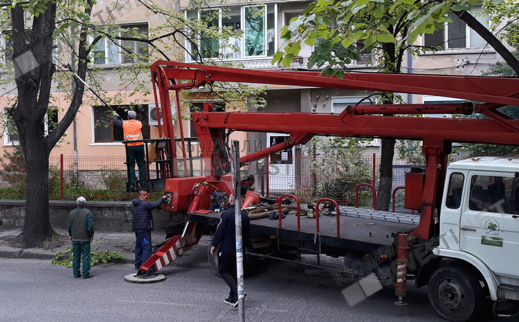 Кастрят сухите клони и премахват „мъртви” дървета, след бурята в Кърджали