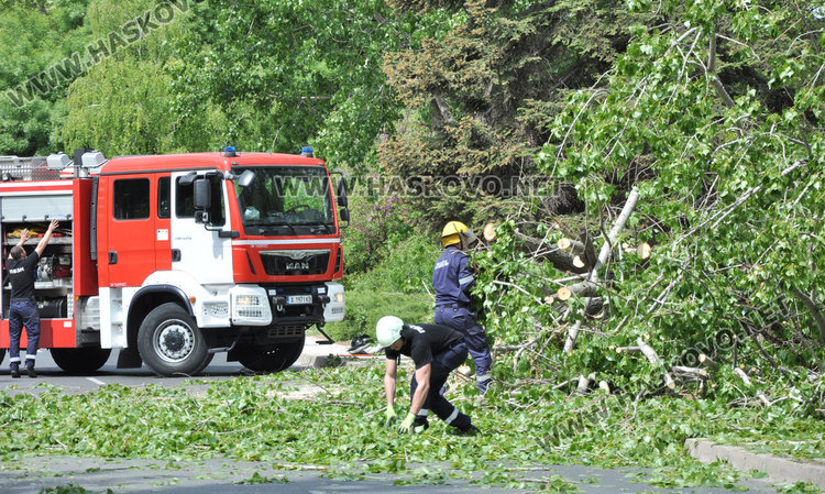 Стара топола се свлече край реката по бул „Илинден” и затвори движението