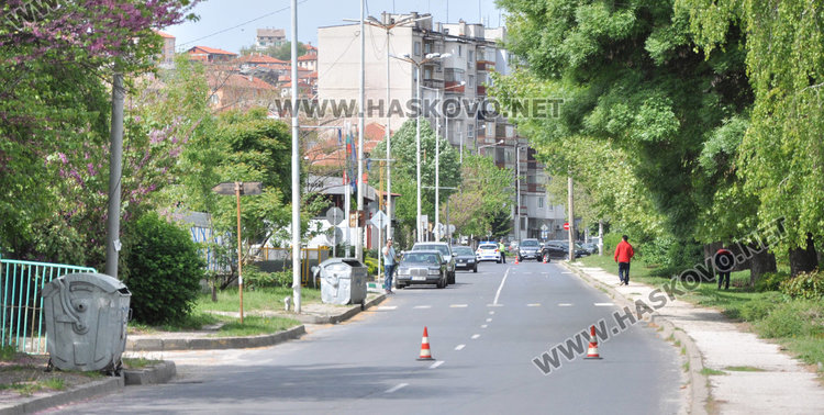 Стара топола се свлече край реката по бул „Илинден” и затвори движението