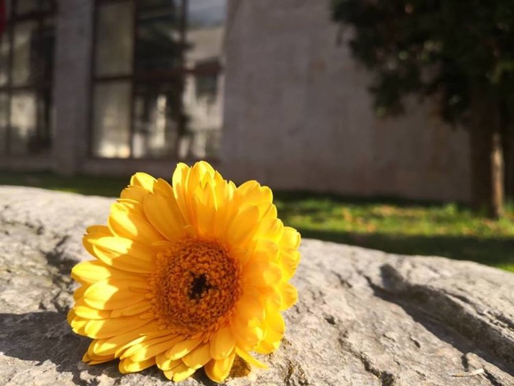 Променлива облачност и кратки валежи