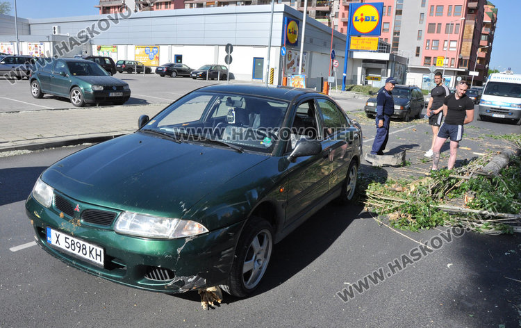 Кола се разби в паднала топола край хасковската река