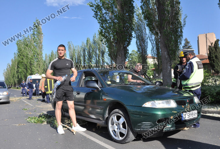 Кола се разби в паднала топола край хасковската река