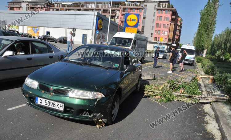 Кола се разби в паднала топола край хасковската река