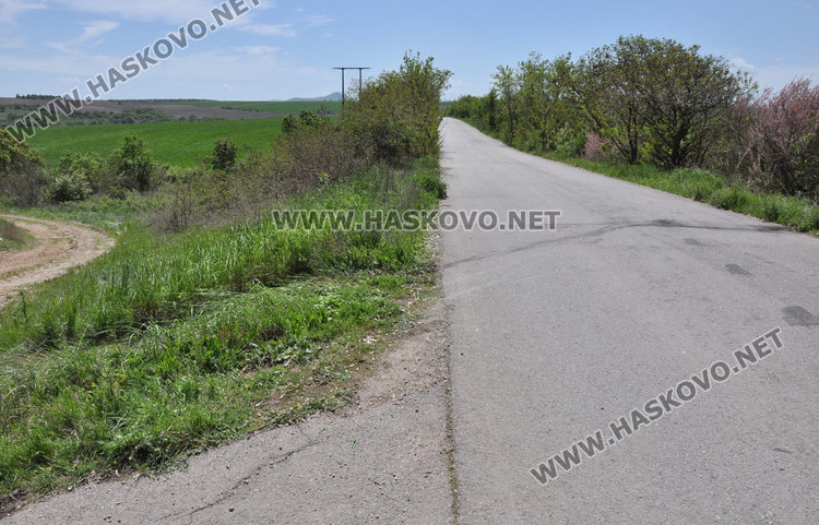 Кола отсече дървета и се обърна по таван край Въгларово