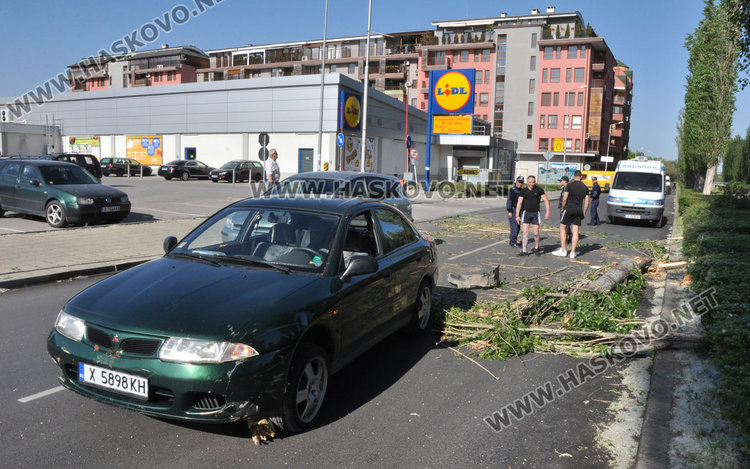 Кола се разби в паднала топола край хасковската река