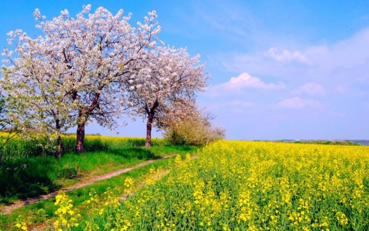 Облаци и слънце се редуват в четвъртък