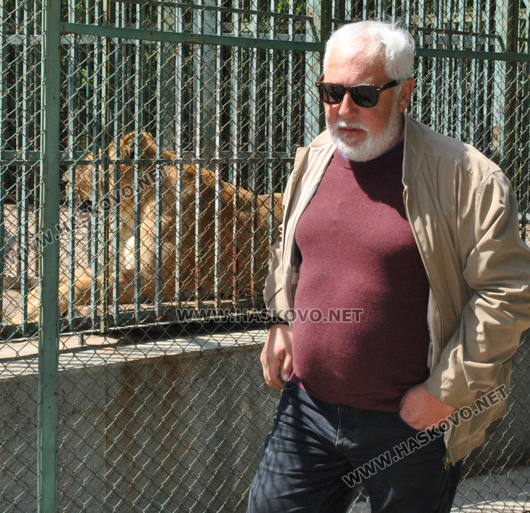 Новородените лъвчета в хасковския зоопарк починаха след премръзване