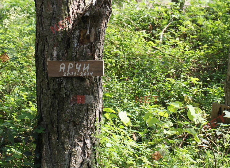 „Гробище за домашни любимци“ в димитровградските паркове