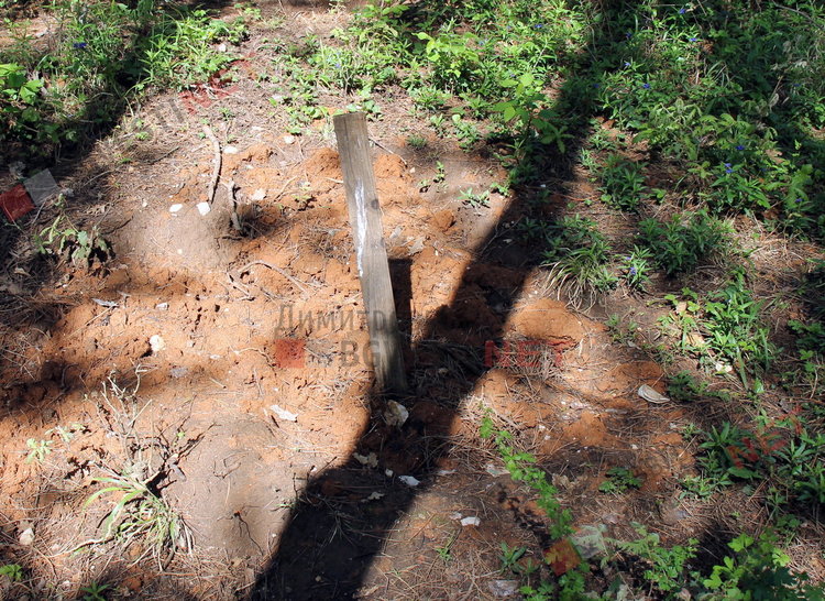 „Гробище за домашни любимци“ в димитровградските паркове