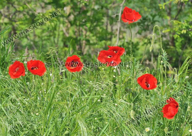 Затопляне в петък, живакът стига 25 градуса