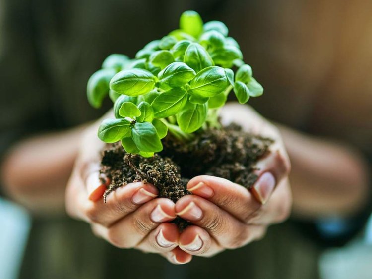 Богатство от отпадъци: учени превръщат замърсяването в нещо полезно