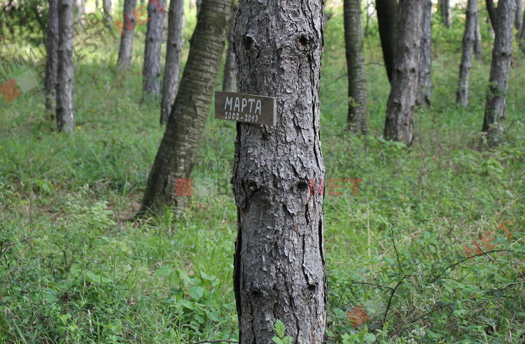 „Гробище за домашни любимци“ в димитровградските паркове